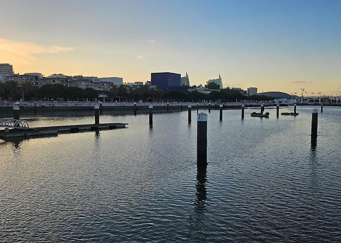 Boat Puma 34 بوتيل