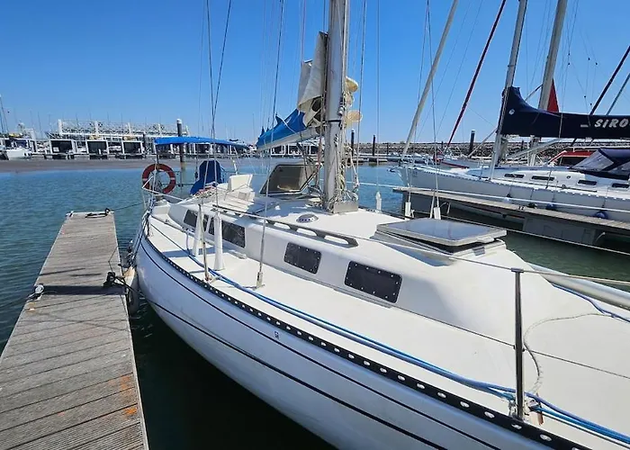 Boat Puma 34 船屋 *